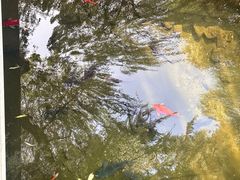 -趵突泉景区