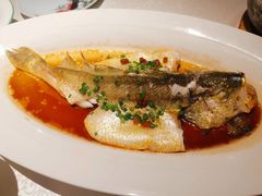 -维园悦谱·海派家常菜(乌鲁木齐南路店)