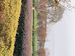 -南京科技馆
