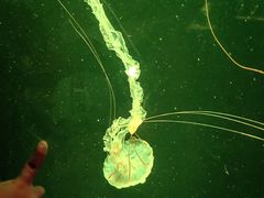-欢乐海岸海洋奇梦馆