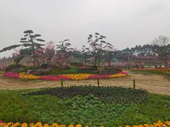 -秀丽东方