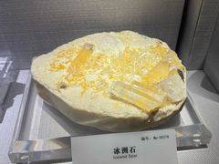 -湖南省地质博物馆