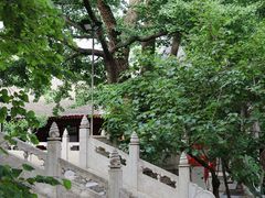 -红螺寺