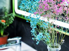 大堂-明洞阿姨·韩式酱蟹烤肉·创意料理(三元桥店)