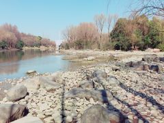 -新江湾城公园