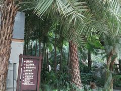 -龙达温泉生态城