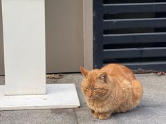 -星巴克(西藏路店)