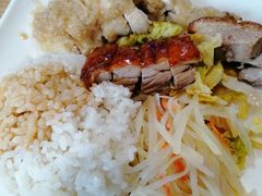 -宋记港式烧鹅(星火路店)