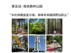 -日照海滨国家森林公园