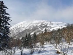 -大秃顶子山