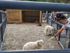 -长白岛森林公园