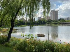 -映月湖公园