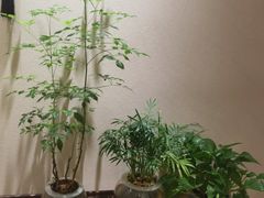 -隆德堂青瓷艺术·茶馆(故宫店)