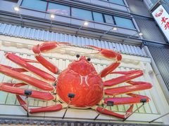 -蟹道乐(道顿堀本店)