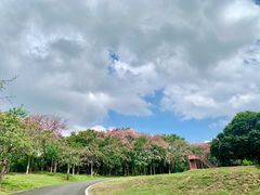 -松山湖梦幻百花洲