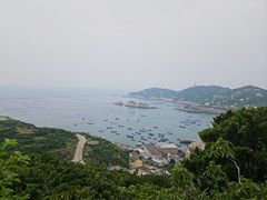 -枸杞岛
