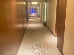 -广州白天鹅宾馆