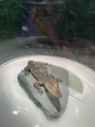 -酷嗒动物文化乐园(cutezoo西溪乐天城店)