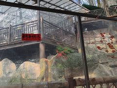 -巴倒烫陆派火锅山庄(南山总店)