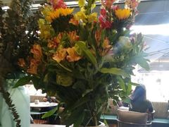 -gaga(深圳南山益田假日广场店)