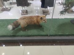 -肃宁华斯国际裘皮城