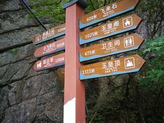 -洛阳白云山景区