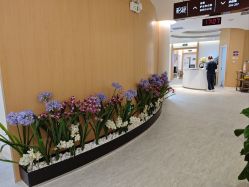 -天津伊美尔医疗整形美容专科医院