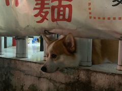 -小梁哥云吞面(黄贝岭店)