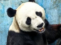 -沈阳森林动物园