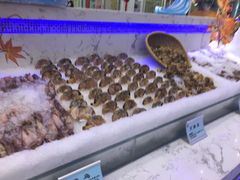 -澜悦港海鲜体验主题餐厅
