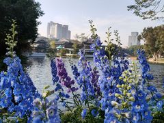 -荔湾湖公园