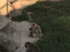 -南昌动物园
