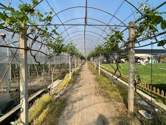 -美家乐农庄·露营·团建(大治路店)