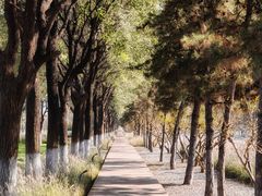 -汉长安城未央宫国家考古遗址公园