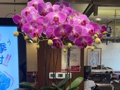 -长白山万达锦华套房酒店