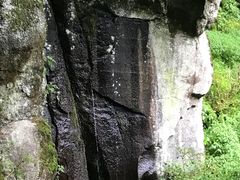 -望天鹅景区