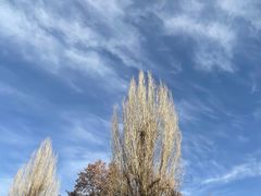 -张掖大佛寺景区