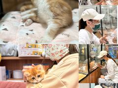 -袖虎·猫馆(体育西路店)