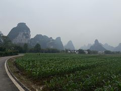 -明仕田园