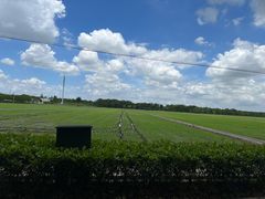 -嘉北郊野公园