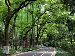 -采石矶景区