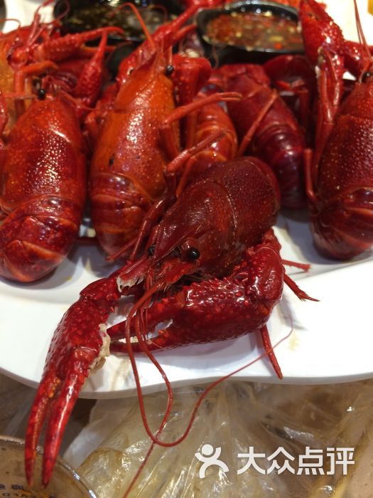 霸王虾(中山北路店)清蒸蘸水虾图片 - 第657张