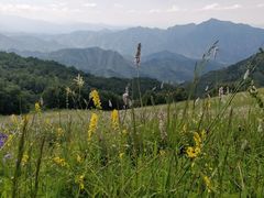 -灵山