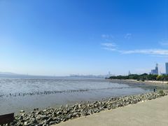 -深圳湾公园(南山区)