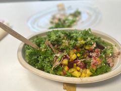 -油梨树AVOCADO TREE(嘉里中心店)