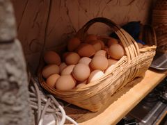 -郑记·古法黑砂锅串串(龙泉店)