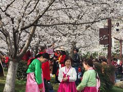 -堤角公园