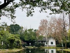 -橘子洲景区