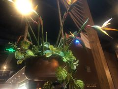 -云海肴·汽锅鸡·云南菜(天津国金汇店)