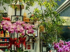 -FEI FEI FLOWER鲜花店·气球派对·宝宝宴布置(虹口德必运动Loft店)